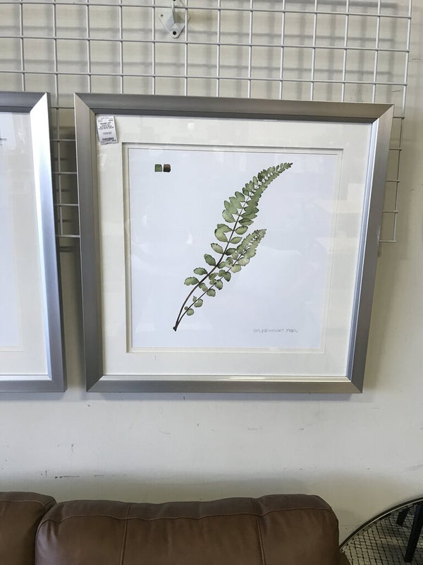 Watercolor Botanical Silver Frame 28.75"x28.75"